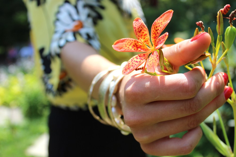 14749017733_9969643f96_o